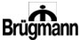 БРЮГМАНН